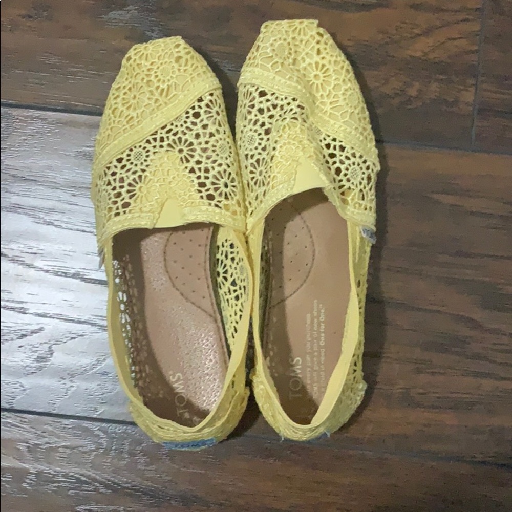 Yellow toms